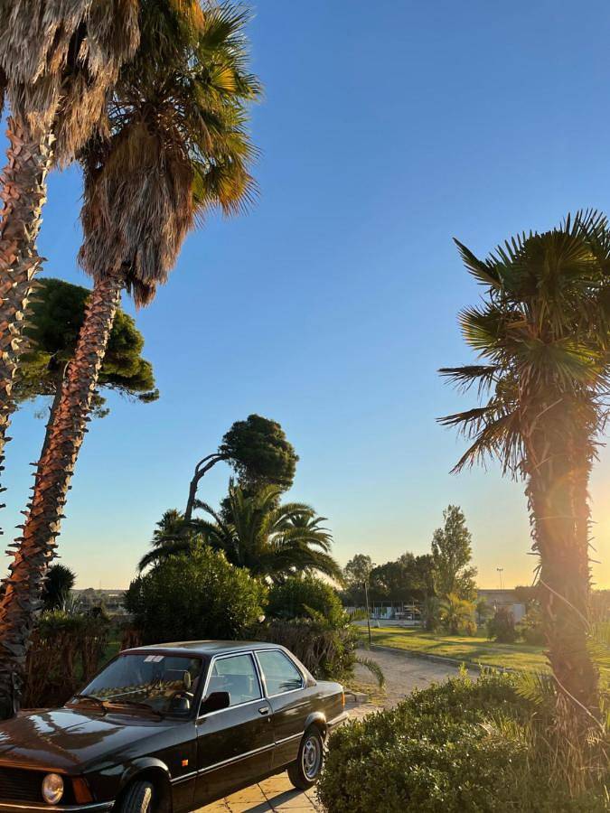 Location de vacances pour 2 personnes, avec jardin et piscine, animaux acceptés à Copertino - 2