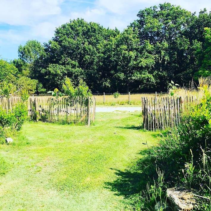 Location de vacances pour 12 personnes, avec piscine et jardin, animaux acceptés à Vensac - 4