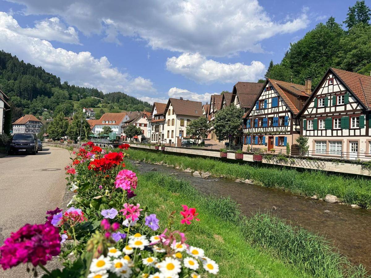 Single Room in Schiltach, Vallée du Kinzig