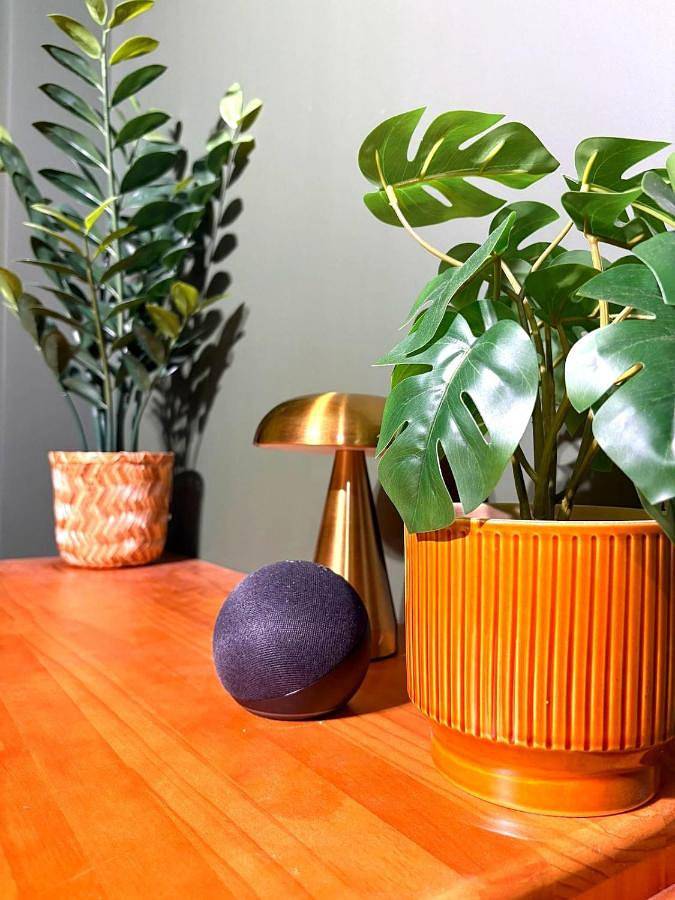 Appartement entier, La Cachette Sauvage au cœur de Villefranche in Villefranche-sur-Saône, Beaujolais
