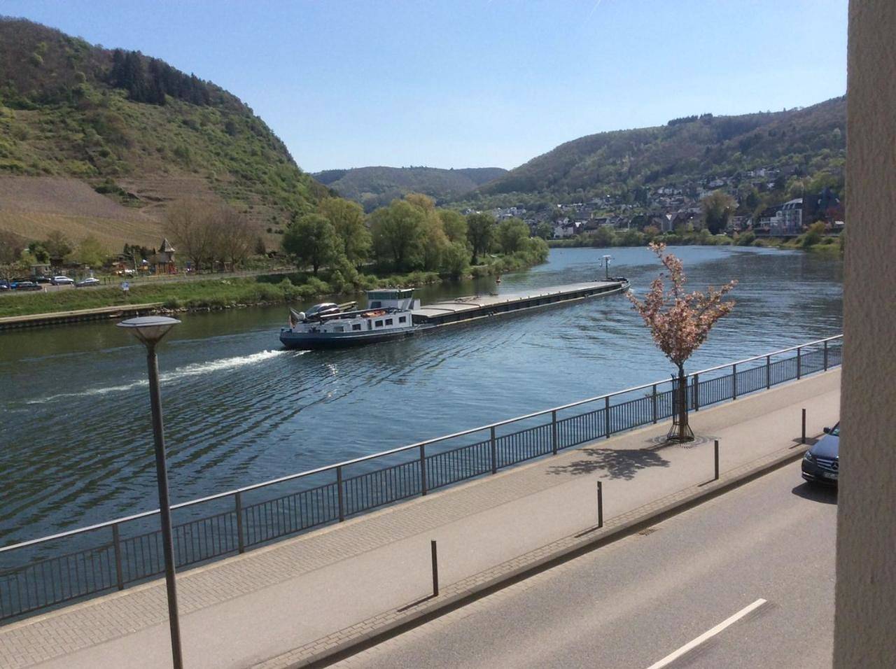Ganze Wohnung, Moselrose in Cochem, Cochem-Zell