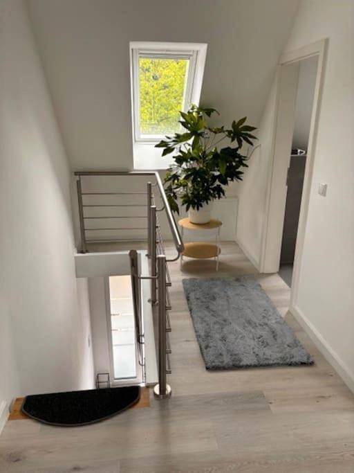 Ferienhaus für 8 Personen, mit Terrasse und Garten in Düsseldorf - 4