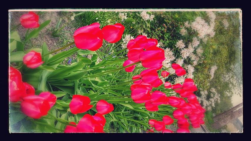 Log cabin for 2 people, with terrace in Whidbey Island