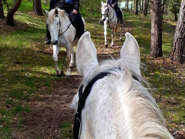 Ferienwohnung für 2 Personen, mit Garten in Dahme-Spreewald - 3