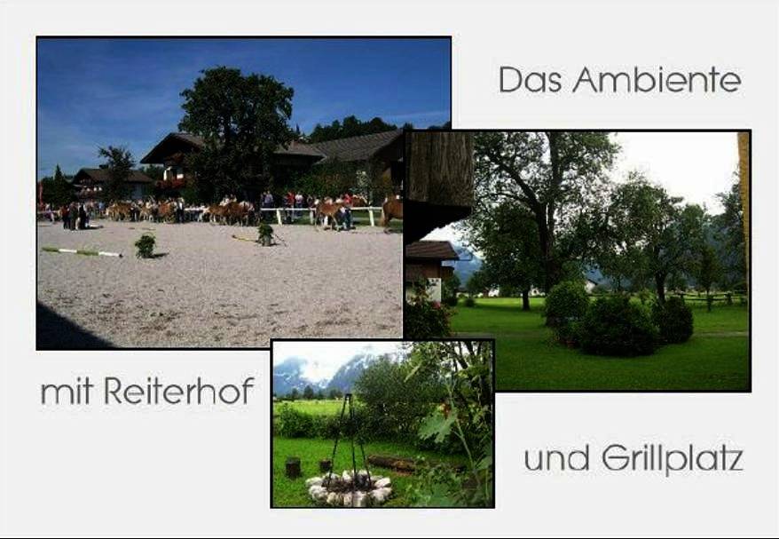 Ganze Wohnung, Apartment with Mountain View in Kuchl, Tennengau