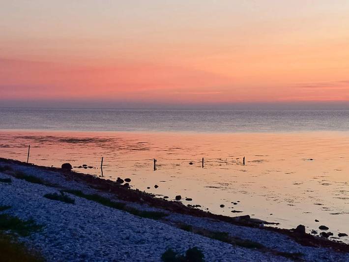 Ferienhaus für 4 Personen, mit Terrasse, mit Haustier in Grenå Strand - 3