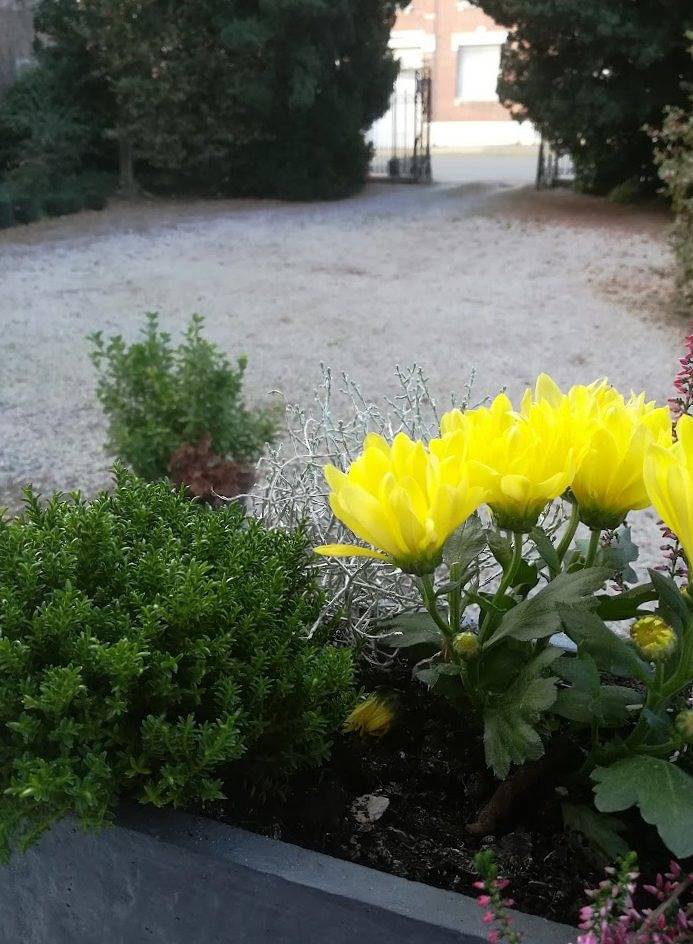 Chambre d’hôte pour 2 personnes, avec jardin dans Département Nord - 3