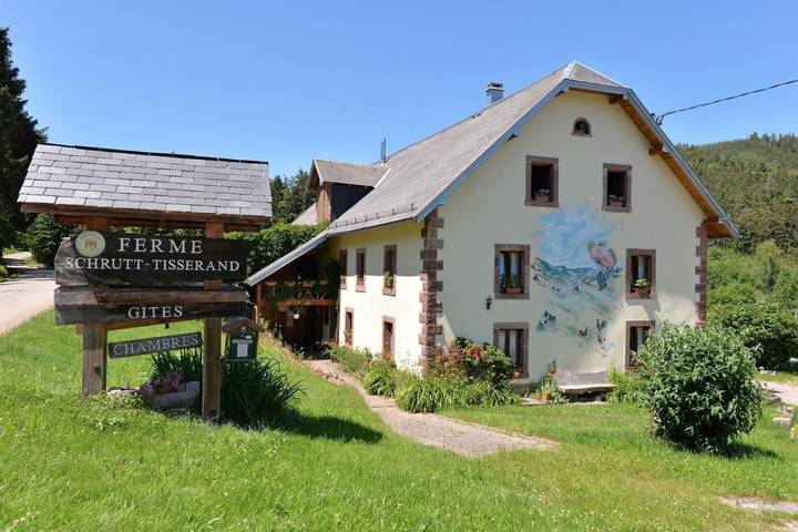 Landhaus "Les Hirondelles" mit Bergblick, Gemeinschaftsgarten und Wlan in Orbey, Regionaler Naturpark Belchen der Vogesen