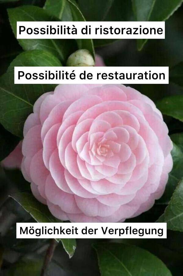 Chambre d’hôte pour 2 personnes, avec terrasse à Locarno - 2