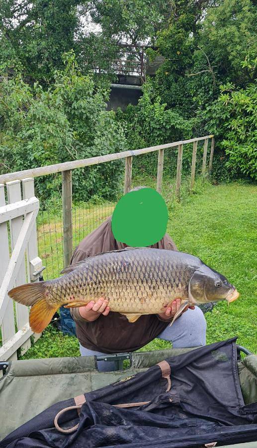 Location de vacances pour 4 personnes, avec terrasse, animaux acceptés à Saint-Martin-de-Sanzay - 3