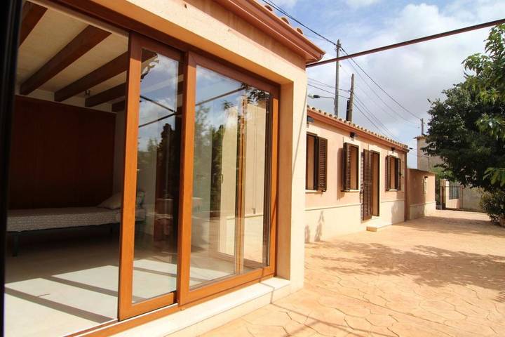 Finca mit Hund für 5 Personen, mit Terrasse und Garten in Palma - 4
