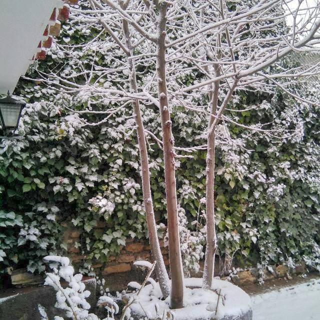 Casa rural para 6 personas, con balcón y jardín en Comarca de los Vélez - 2
