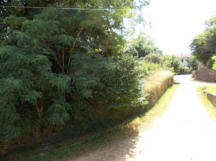 Location de vacances pour 4 personnes, avec jardin, animaux acceptés à Saint-Justin - 2