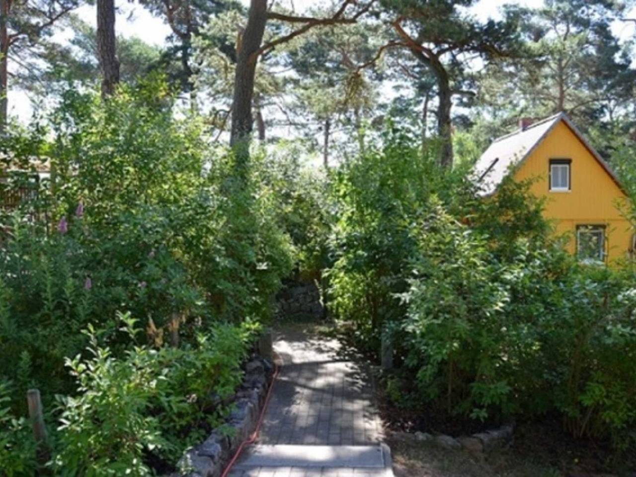 Zinnowitz Kiefernweg 5c Ferienbungalow 03 - Bu 3 Mondfisch in Zinnowitz, Usedomer Norden