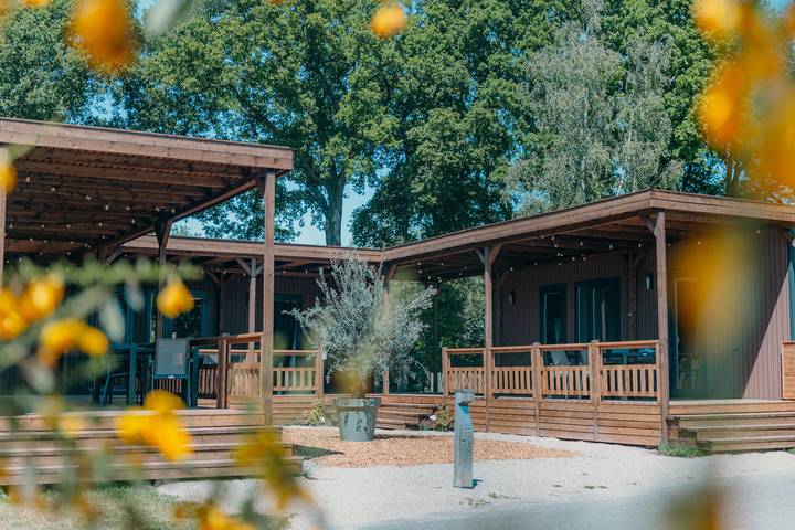 Vakantiepark voor 12 personen, met Kinderzwembad in Sallandse Heuvelrug