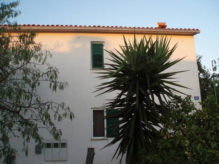 Ganze Wohnung, 2-Zimmer-Ferienwohnung mit Terrasse und Meerblick Necujam, Solta A-21776-a in Necujam, Solta