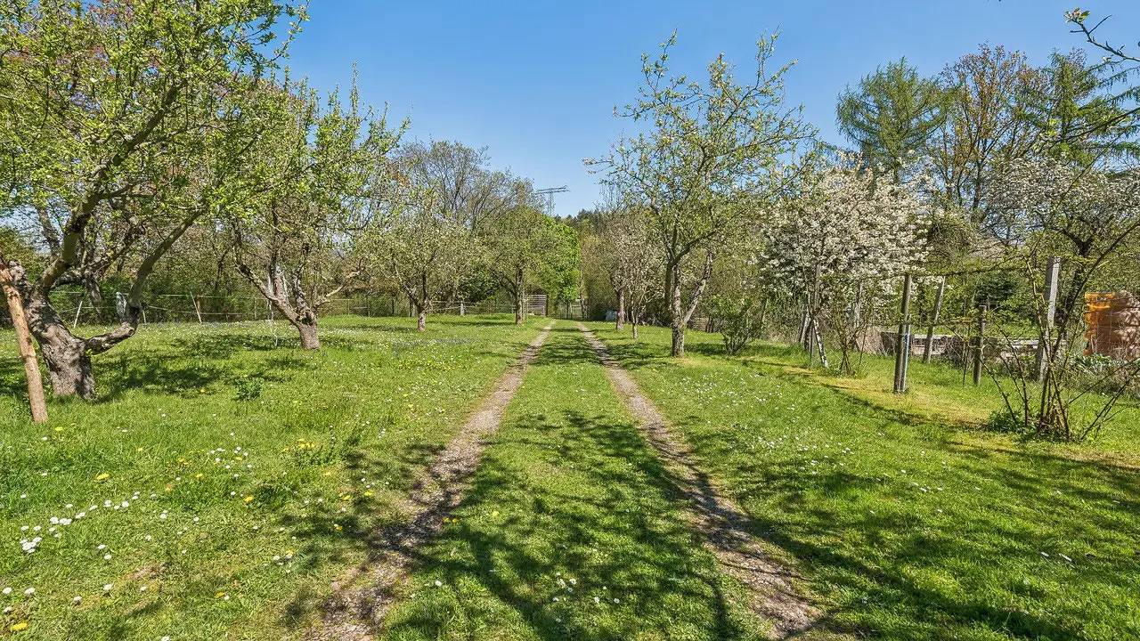 Ferienhaus für 2 Personen (50 m²) in Thale in Neinstedt, Thale