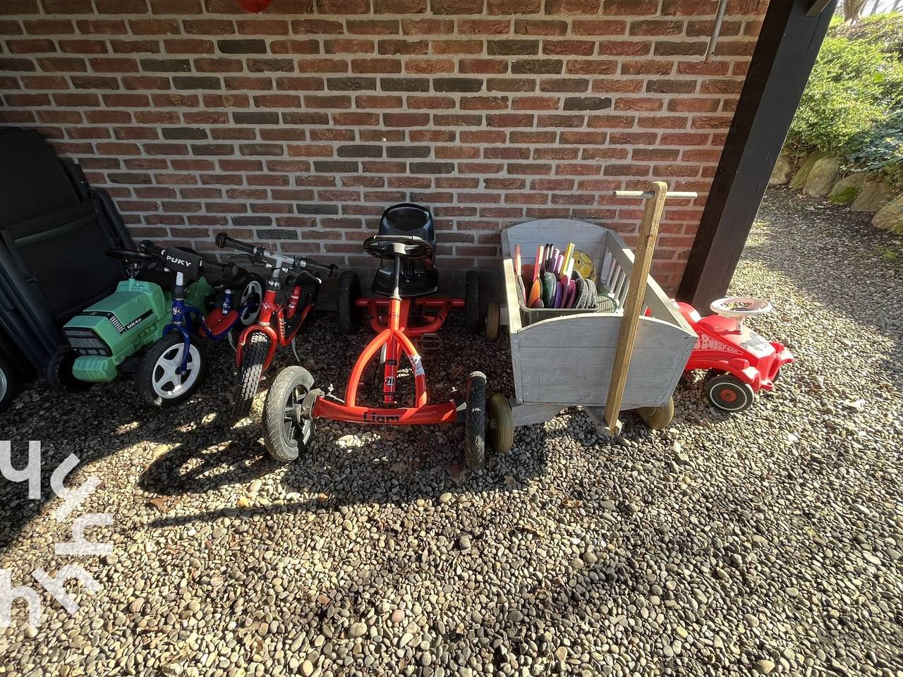 Ferienhaus für 6 bis 12 Personen mit Zwergziegen und Spielziege in Koekange in Koekange, Drenthe