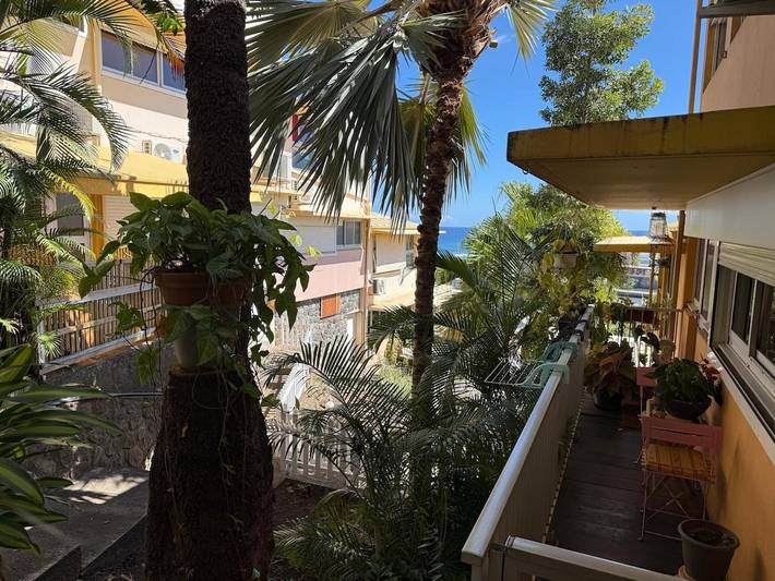 Gîte pour 4 personnes, avec jardin et piscine, animaux acceptés dans Port de Saint-Gilles les Bains