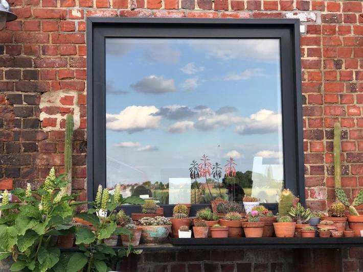 Location de vacances pour 4 personnes, avec vue ainsi que piscine et jardin, animaux acceptés à Courtrai - 3