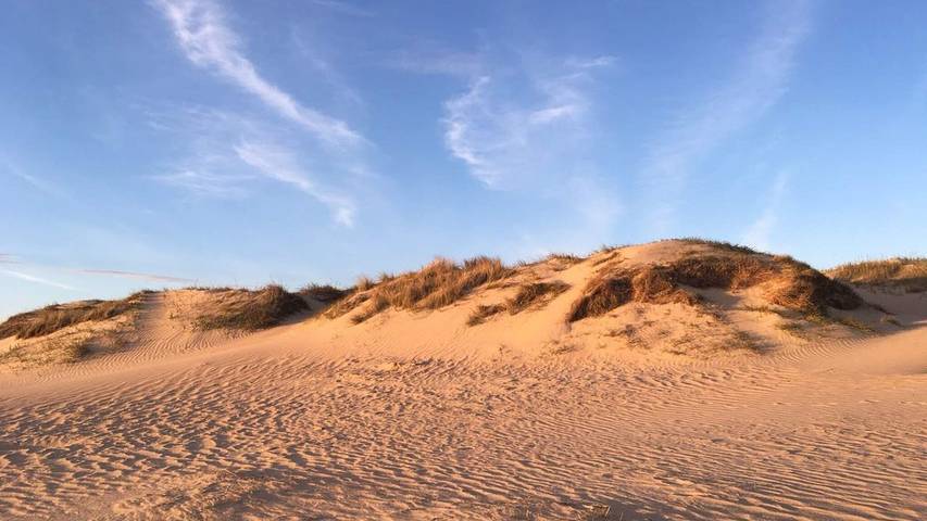 Ferienhaus für 7 Personen, mit Terrasse, mit Haustier in Lakolk - 2