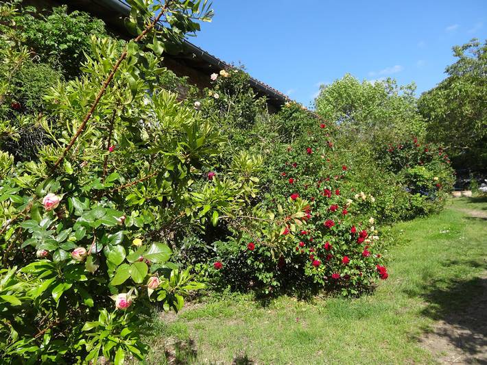 Gîte pour 4 personnes, avec piscine ainsi que terrasse et jardin, animaux acceptés à Montbrun-Lauragais
