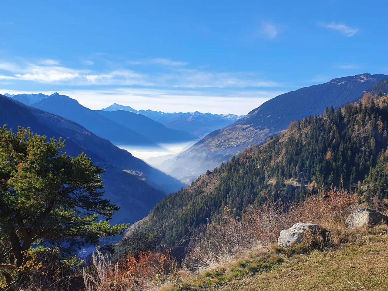 Ganze Wohnung, Thermik 3 1. Og Süd in Fieschertal, Aletsch Arena