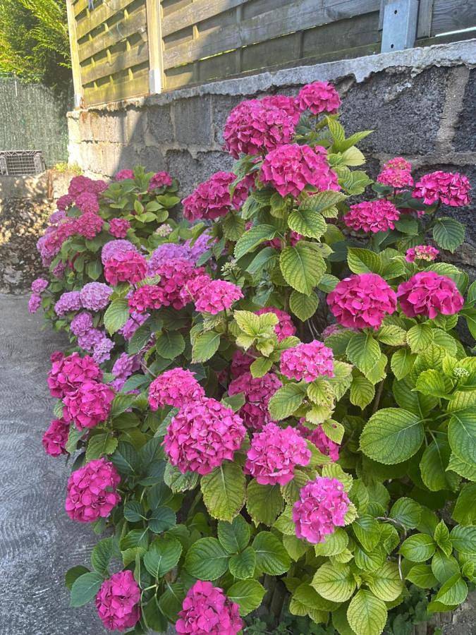 Gîte pour 2 personnes, avec terrasse et vue à Sotteville-lès-Rouen - 2