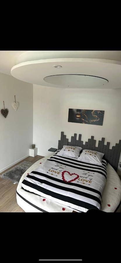 Gîte pour 2 personnes, avec piscine ainsi que jacuzzi et jardin à Gémozac - 3