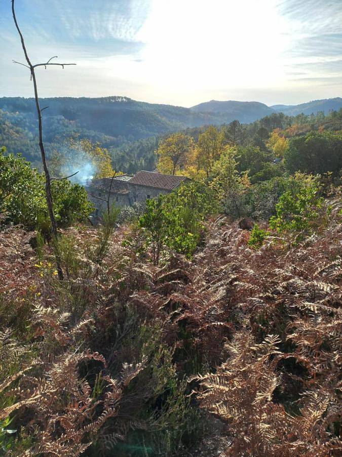 Location de vacances pour 9 personnes, avec terrasse et vue, animaux acceptés à Gagnières - 4