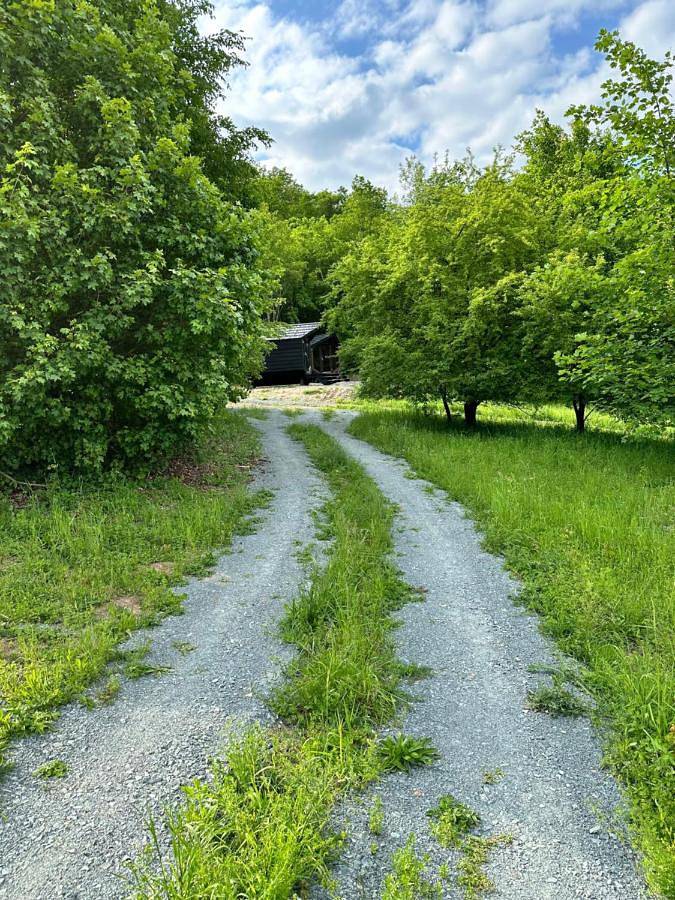 Gîte pour 2 personnes, avec vue sur le lac ainsi que vue et jardin à Brno - 2