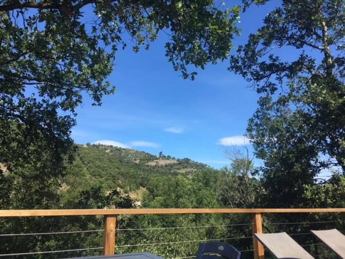 Villa pour 10 personnes, avec piscine à Vallon-Pont-d'Arc - 4