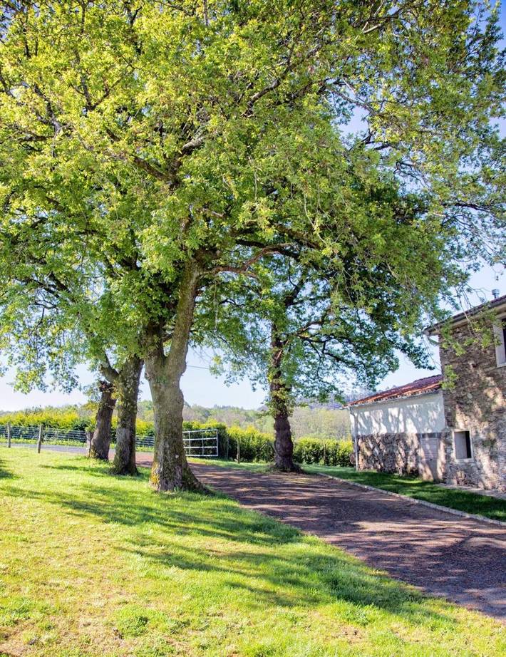 Casa rural para 9 personas, con Balcón y Terraza además de Jardín y Vistas en Arzúa - 4