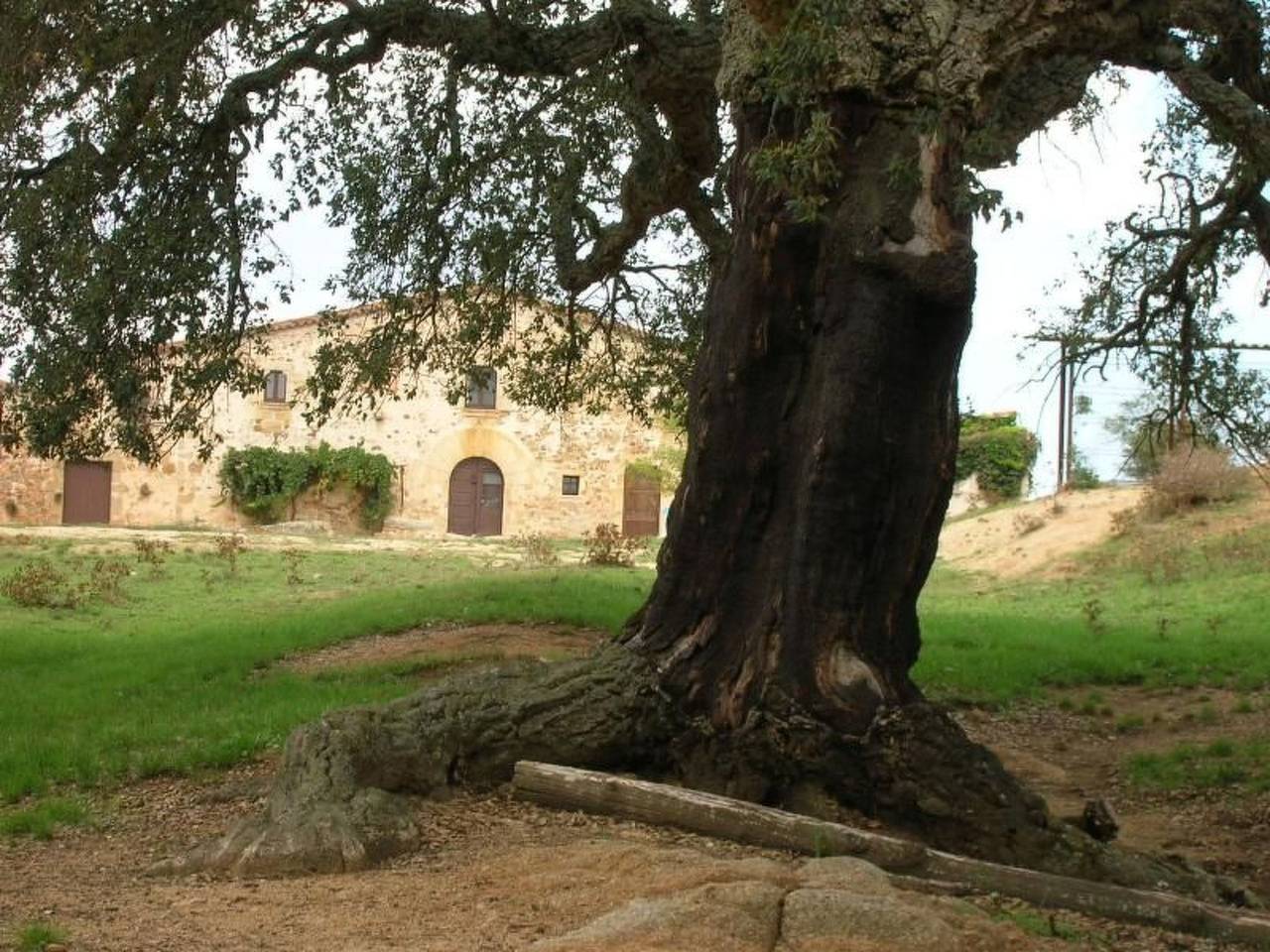 Bauernhaus im Naturpark Gavarres in Cassà de la Selva, Gironès