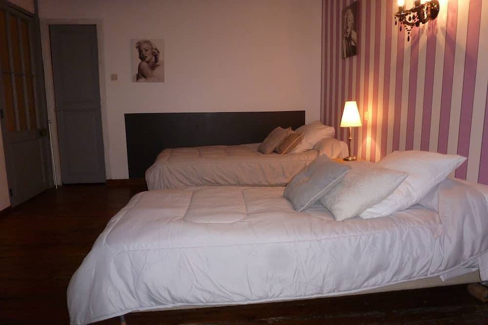 Entire apartment, Large duplex apartment of character ideally located downtown in Carcassonne, Carcassonne region