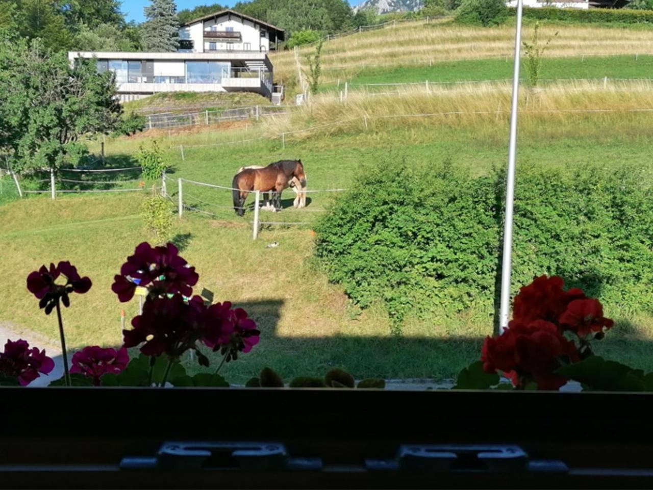 Ganze Ferienwohnung, Ferienwohnung Siegfried Zopf - Ferienwohnung mit Balkon für 2-3 Personen in Seefeld (Oberösterreich), Steinbach am Attersee