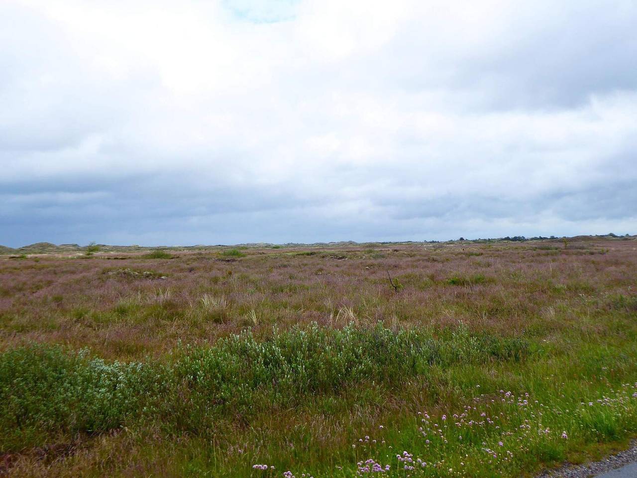 7 Personen Ferienhaus in Frederikshavn in Nordostjütland