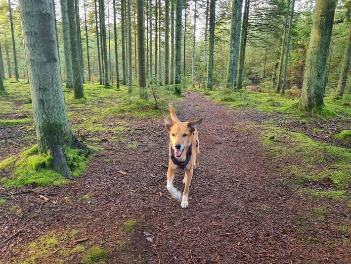 Ferienhaus für 4 Personen, mit Terrasse und Sauna sowie Whirlpool, kinderfreundlich in Aalbæk - 4