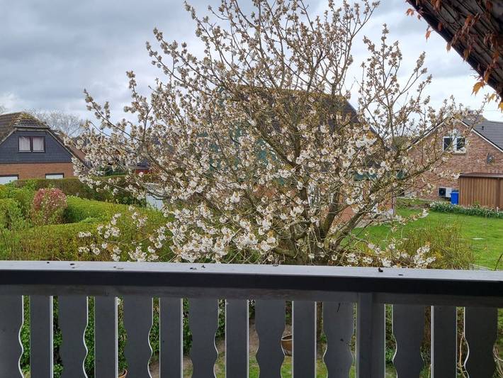 Ferienhaus für 5 Personen, mit Sauna und Garten, kinderfreundlich in Friedrichskoog - 3