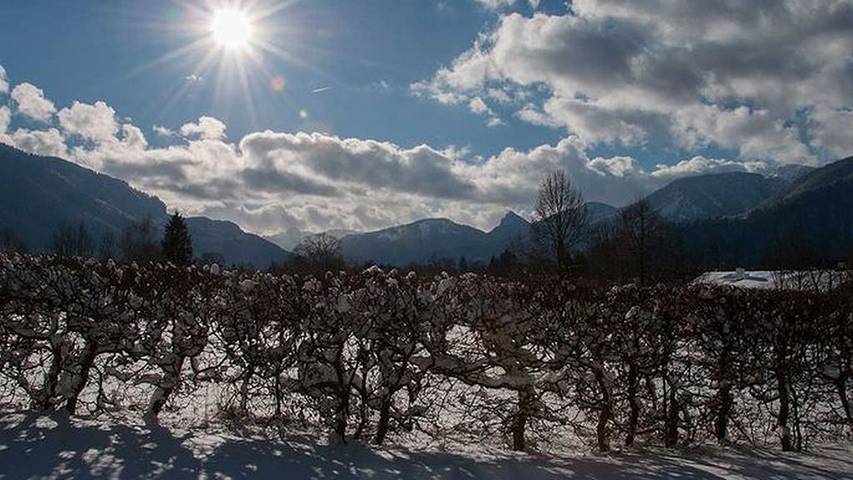 Gîte pour 3 personnes, avec jardin au Tegernsee - 3