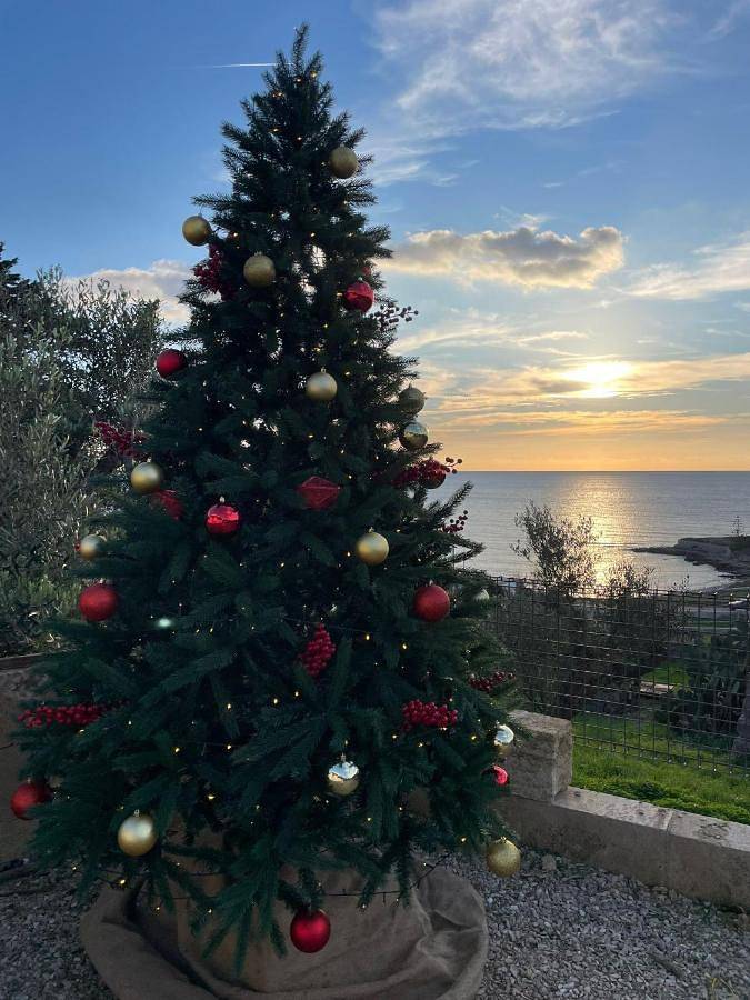 Villa per 5 persone, con piscina per bambini e giardino nonché piscina e idromassaggio - 1
