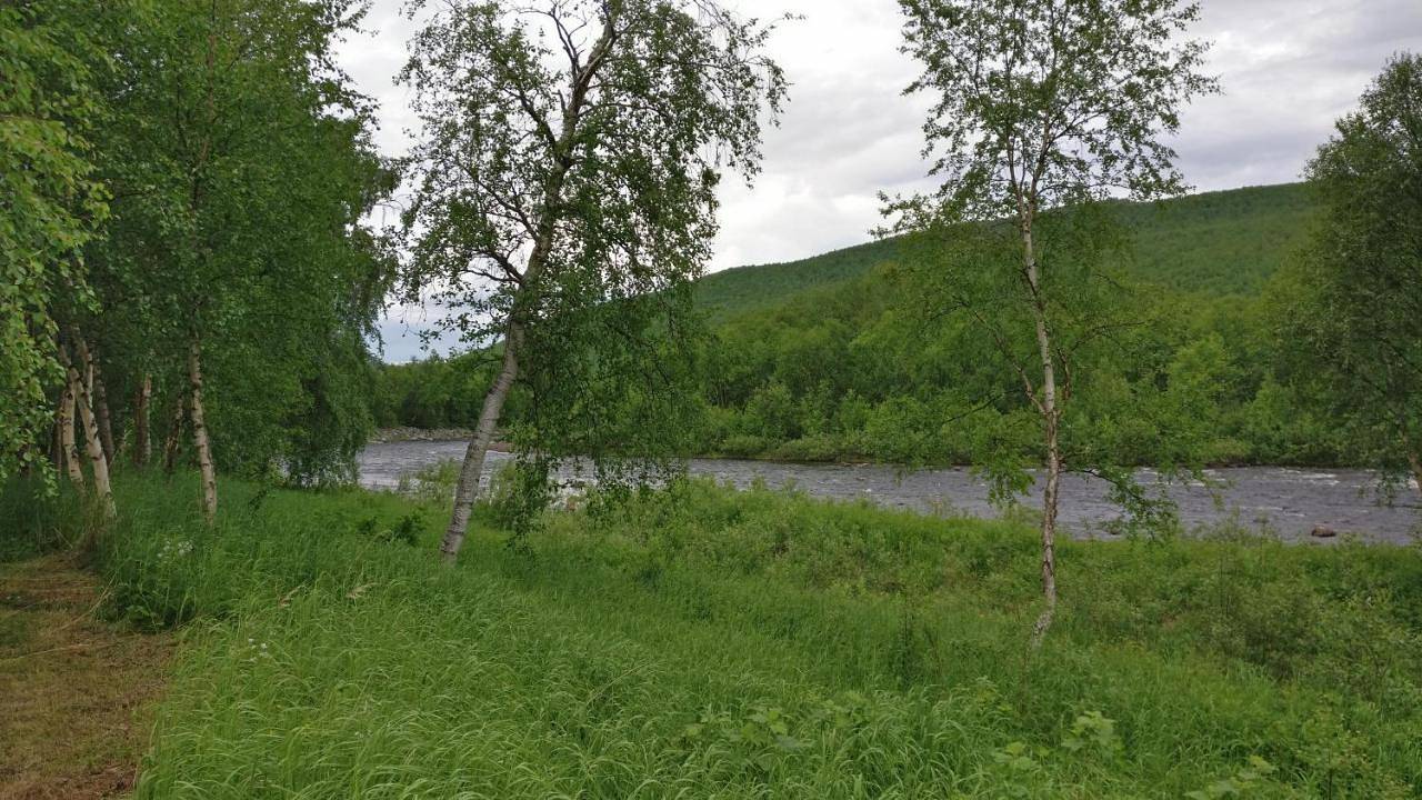 Vetsituvat in Laponia