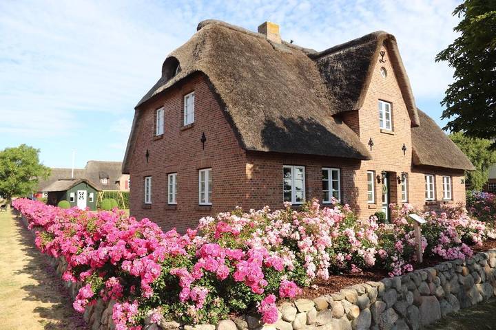 Ferienhaus für 6 Personen, mit Terrasse und Garten sowie Sauna in Dunsum