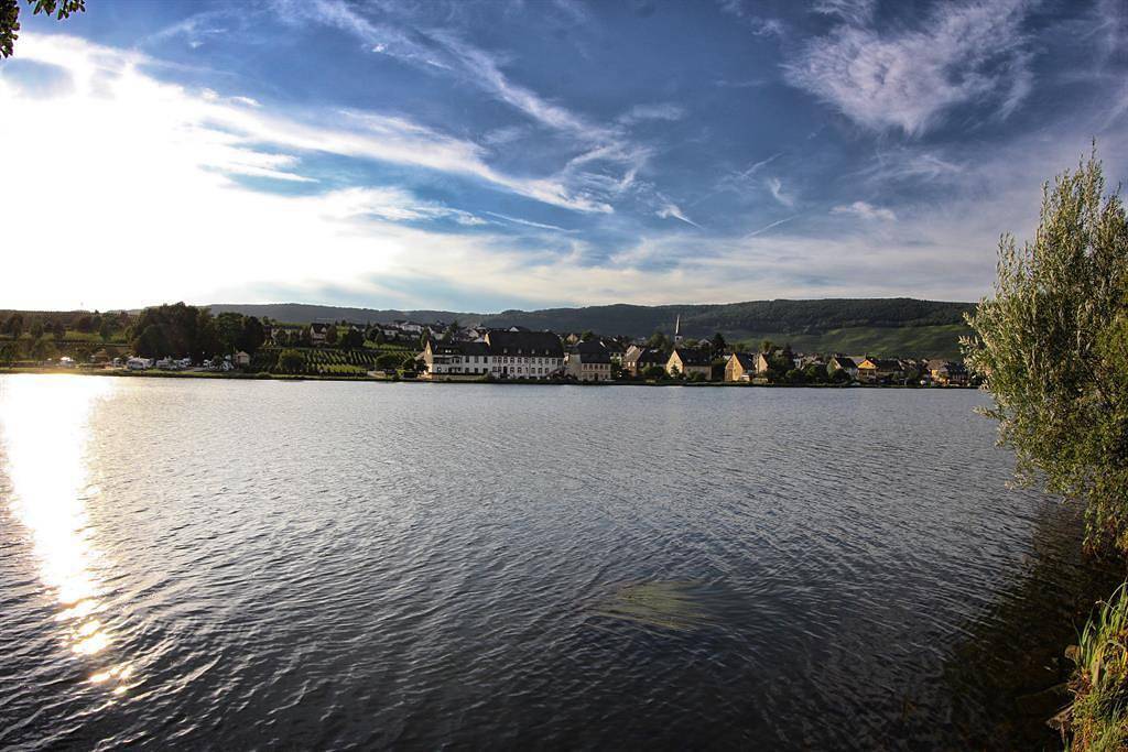 Gasthaus Moselloreley in Piesport, Bernkastel-Kues en Omgeving