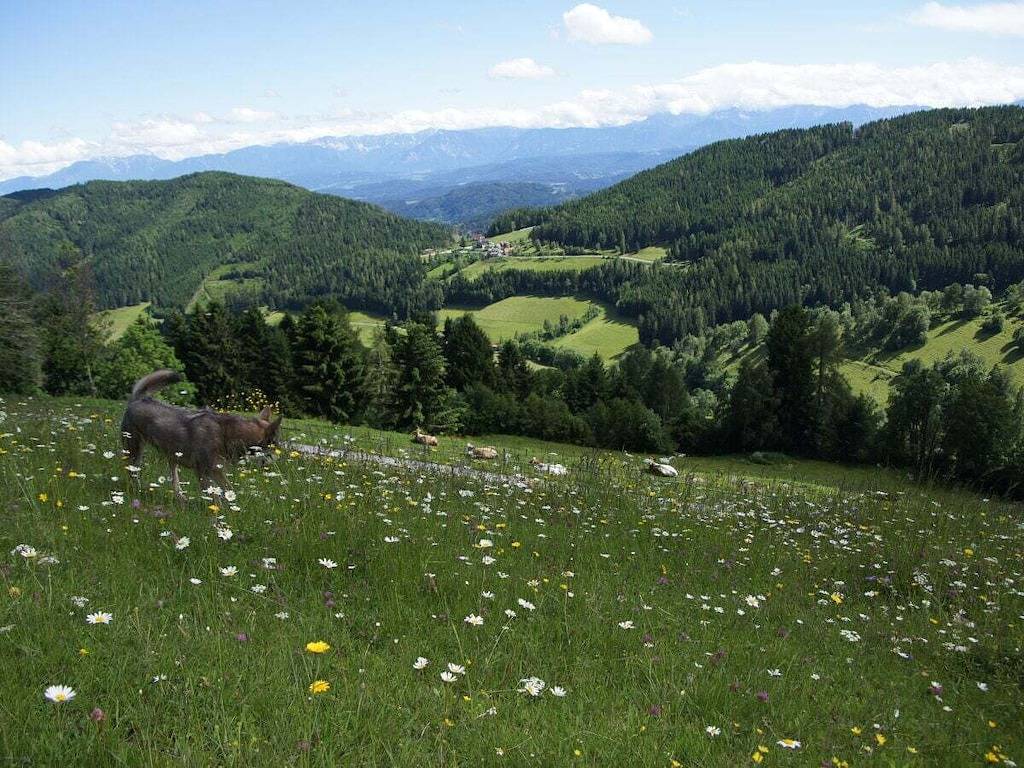 Ferienwohnung mit 2 Schlafzimmer in Sankt Urban, Mittelkärnten