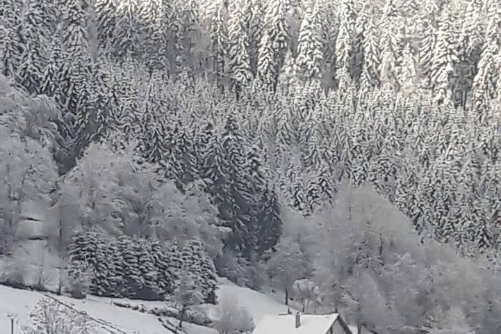 Chalet for 9 people, with pets - 1