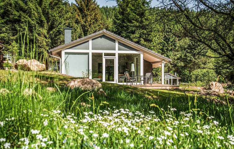 Ferienhaus für 4 Personen, mit Sauna und Terrasse sowie Garten in Thüringen