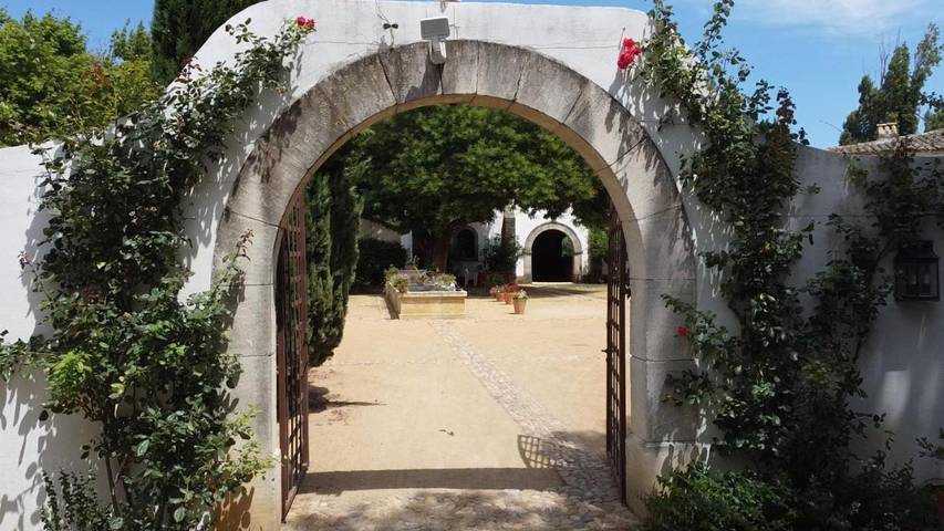 Villa pour 22 personnes, avec Balcon et Jacuzzi ainsi que Terrasse et Jardin à Arles - 4