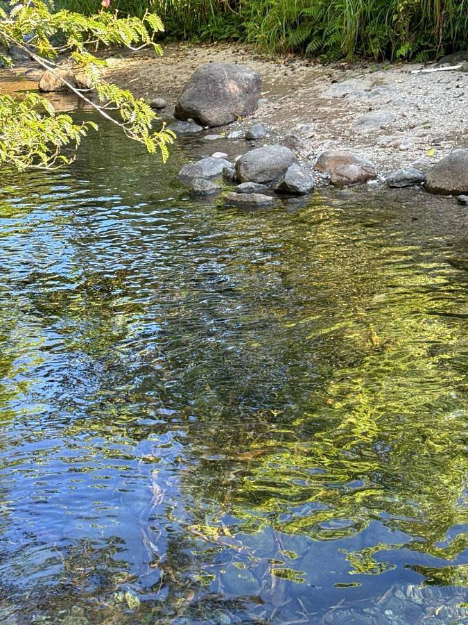 Gîte pour 6 personnes, avec terrasse et vue dans Saint-Joseph (Martinique) - 4