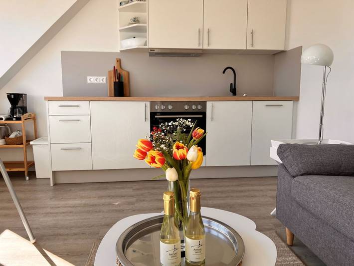 Ganze Wohnung, Neu renovierte Ferienwohnung in direkter Wattlage in Steenodde, Nebel